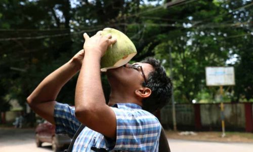 Reasons To Shift To Tender Coconut From Soft Drinks
