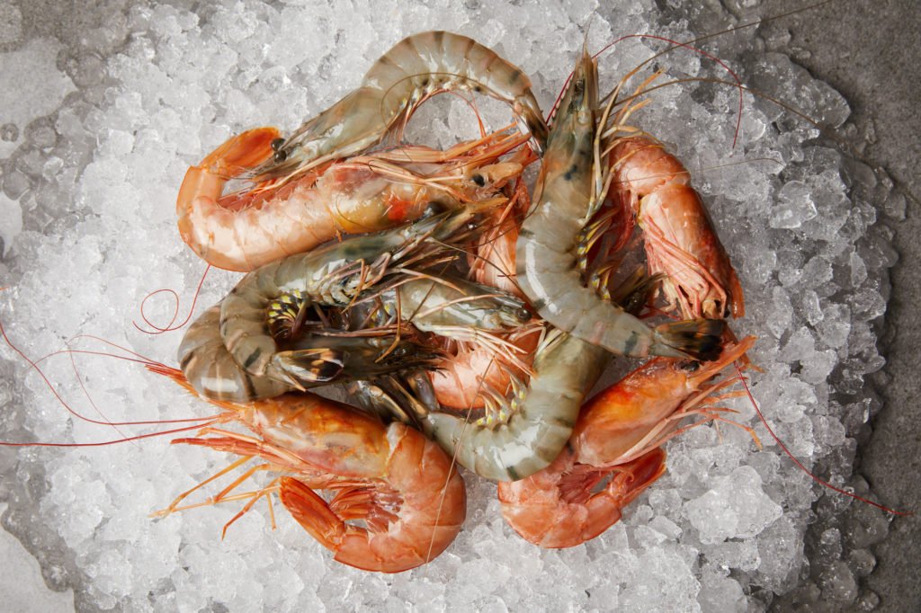 Fresh Prawns