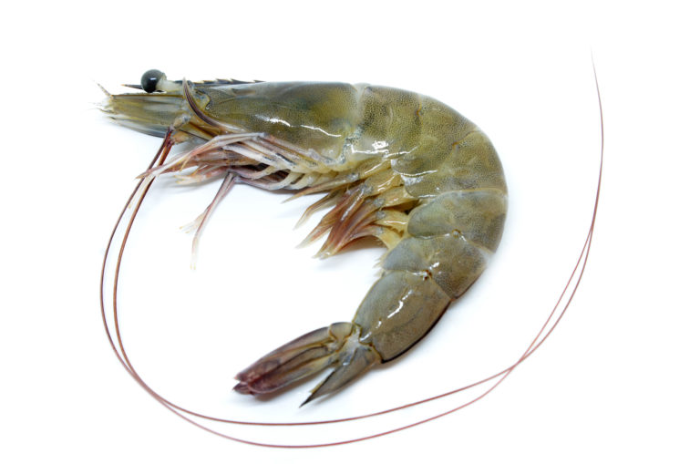 The Difference Between Prawn and Shrimp: Explained!