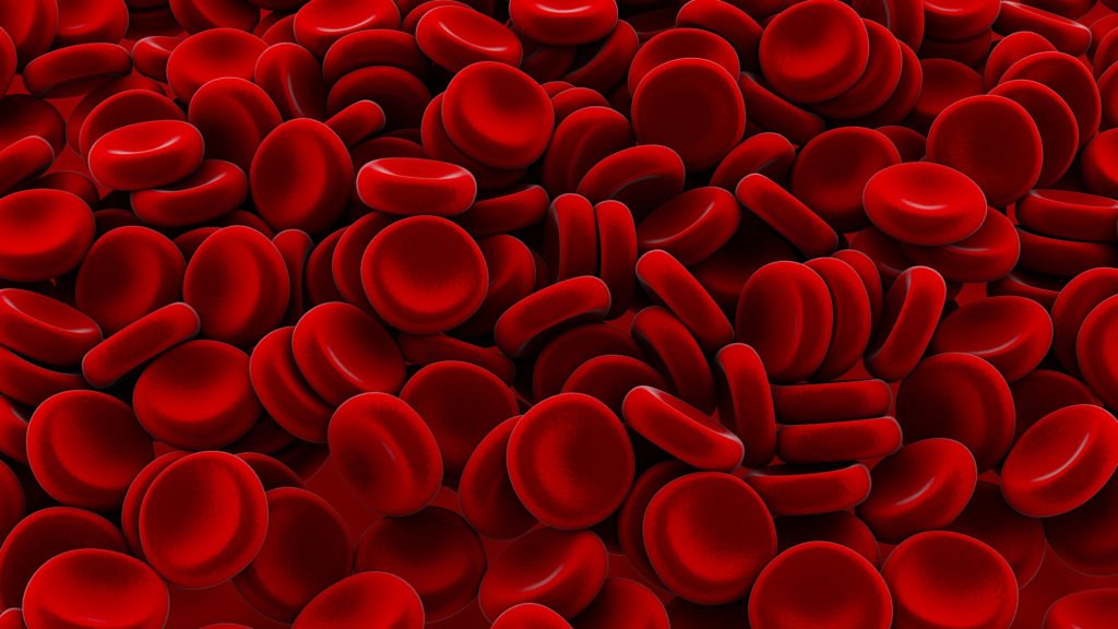 Red Blood Cells 3D Render