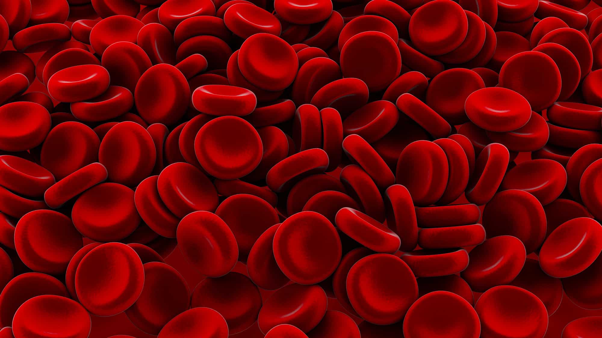 best-foods-you-should-eat-to-increase-hemoglobin