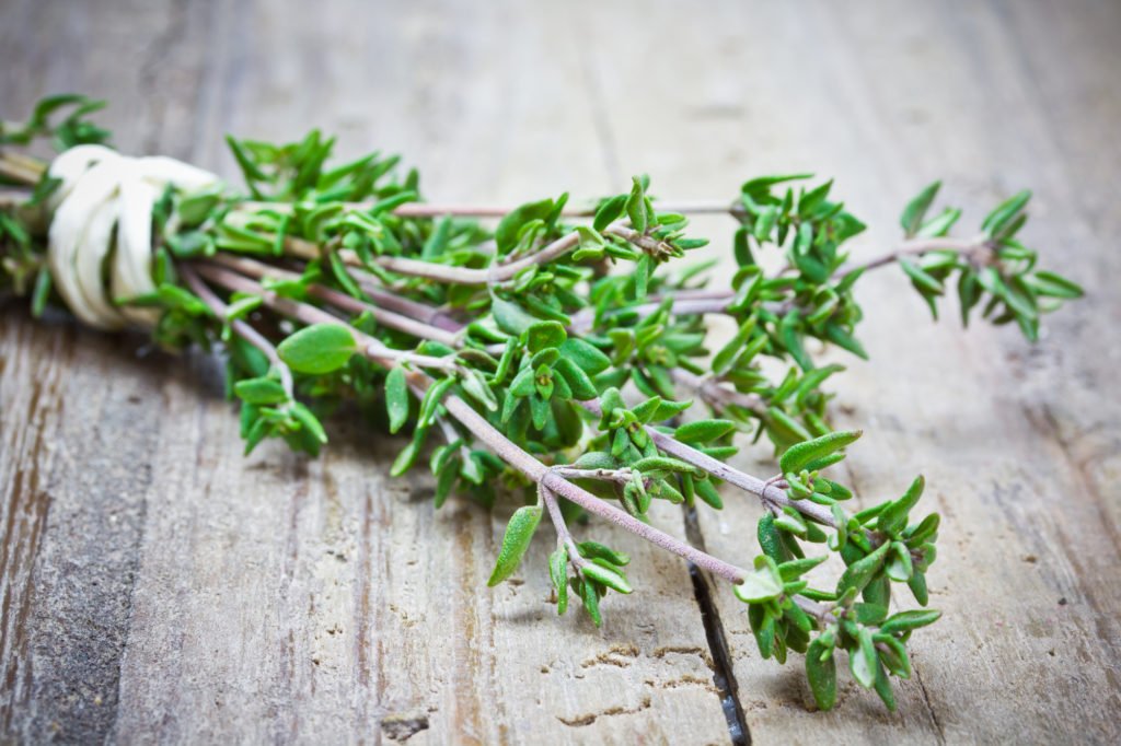 Health Benefits Of Using Thyme Herb