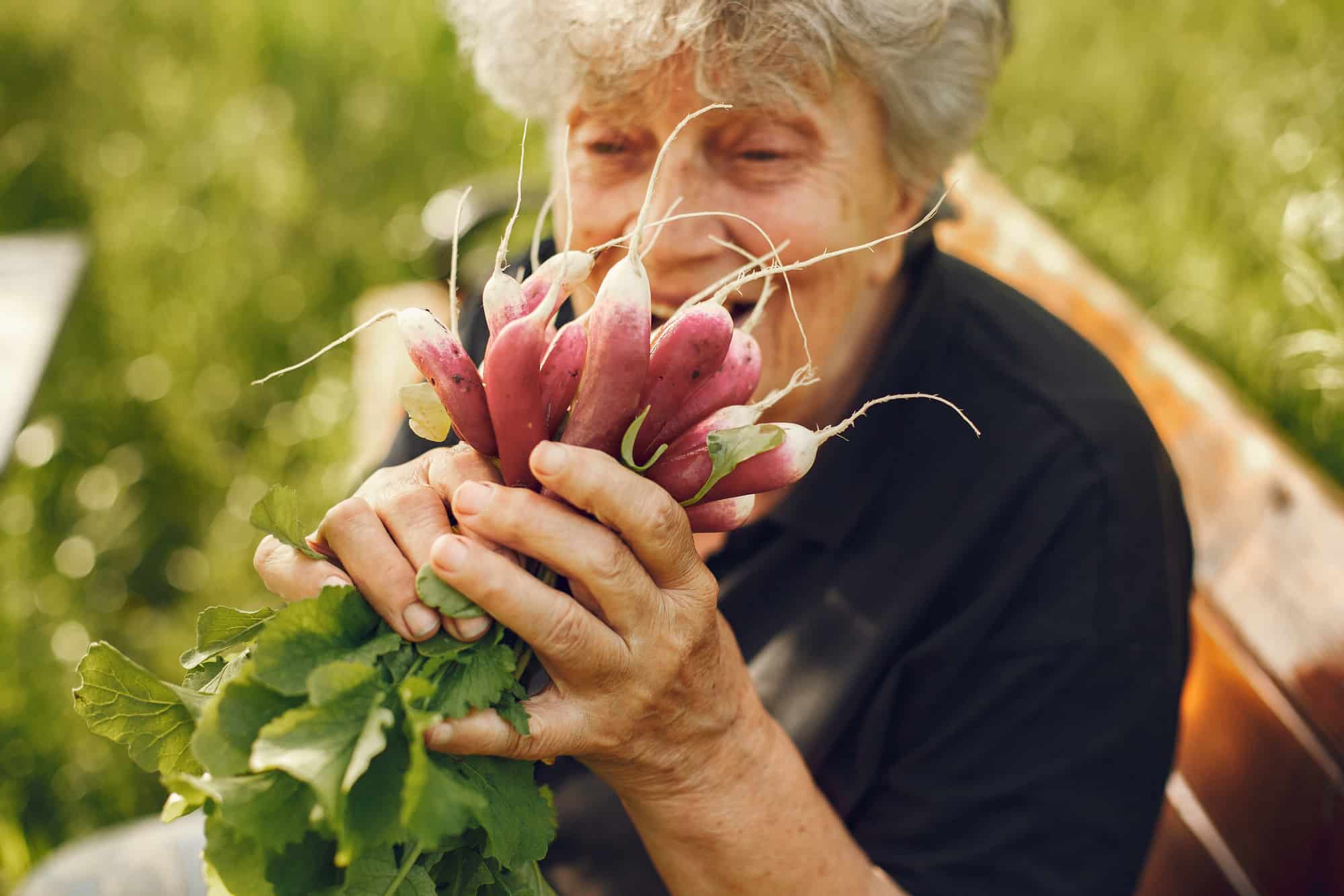 Old Woman In A Hat Holding Fresh Radishes